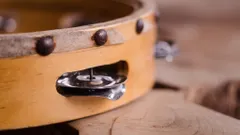 Koala Bar